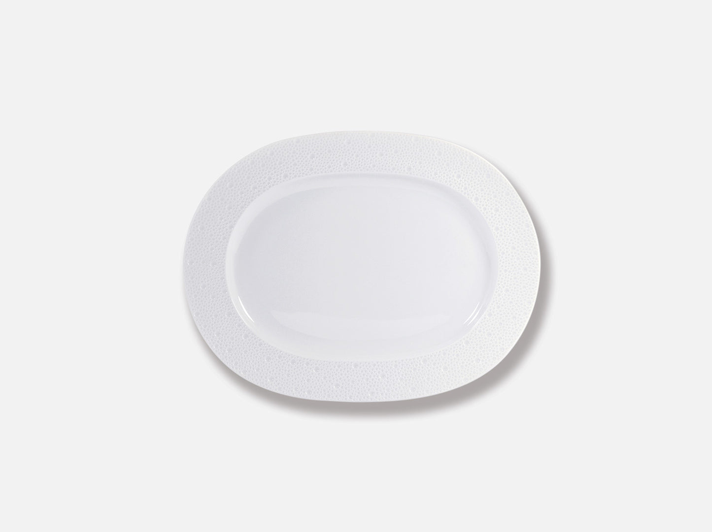 Bernardaud Ecume Oval Plate (France)