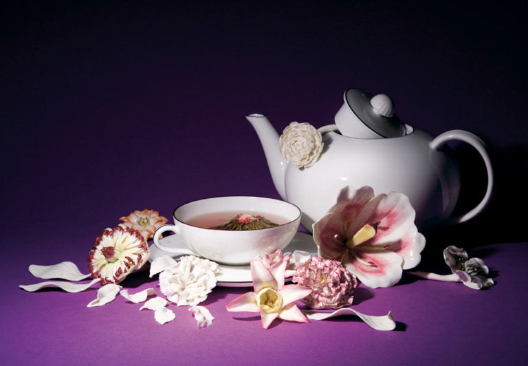 Nymphenburg Table Flower "Magnolia" designed by Conrad Linck, 1770 (Germany)